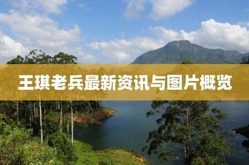 王琪老兵最新資訊與圖片概覽