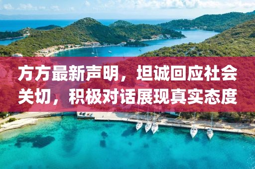 方方最新聲明，坦誠回應社會關切，積極對話展現(xiàn)真實態(tài)度