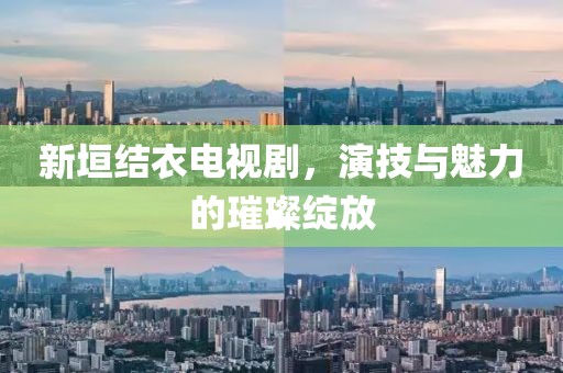 新垣結(jié)衣電視劇，演技與魅力的璀璨綻放