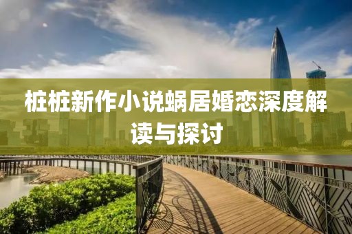 樁樁新作小說蝸居婚戀深度解讀與探討
