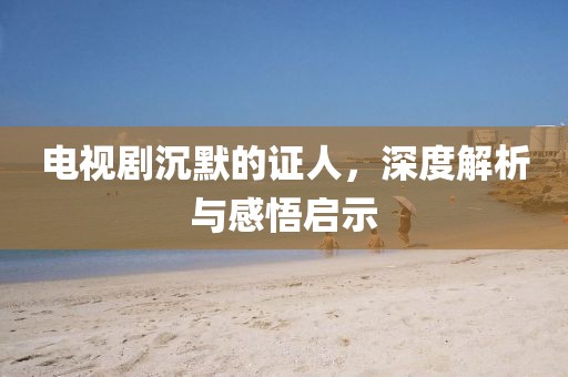 電視劇沉默的證人，深度解析與感悟啟示