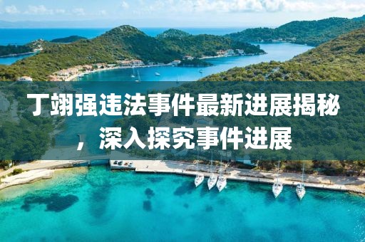 丁翊強違法事件最新進展揭秘，深入探究事件進展