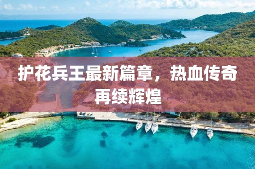 護(hù)花兵王最新篇章，熱血傳奇再續(xù)輝煌