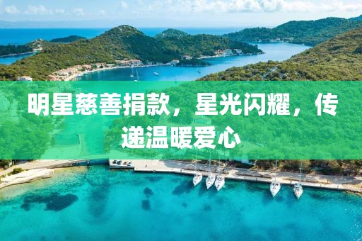 明星慈善捐款，星光閃耀，傳遞溫暖愛心
