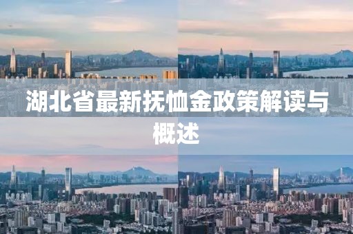 湖北省最新?lián)嵝艚鹫呓庾x與概述
