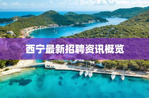 西寧最新招聘資訊概覽