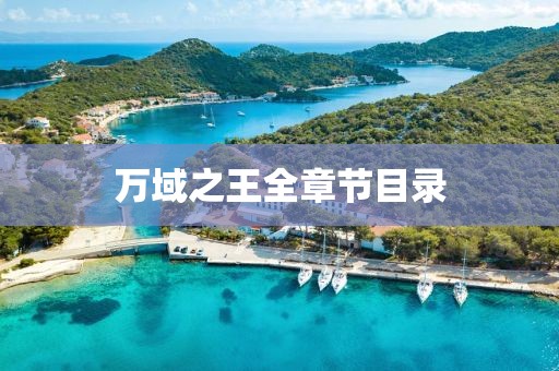 萬(wàn)域之王全章節(jié)目錄