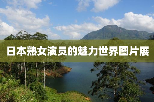 日本熟女演員的魅力世界圖片展