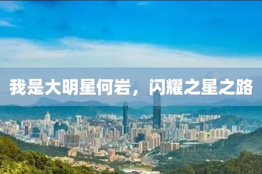 我是大明星何巖，閃耀之星之路