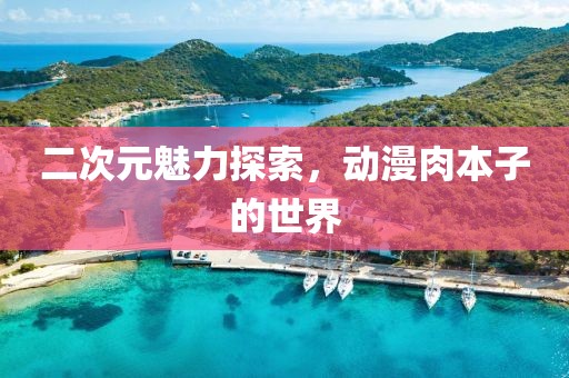 二次元魅力探索，動(dòng)漫肉本子的世界