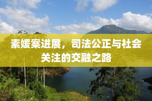 素媛案進(jìn)展，司法公正與社會關(guān)注的交融之路