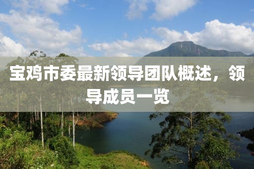 寶雞市委最新領(lǐng)導(dǎo)團隊概述，領(lǐng)導(dǎo)成員一覽