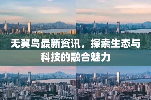 無翼鳥最新資訊，探索生態(tài)與科技的融合魅力