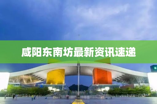 咸陽東南坊最新資訊速遞