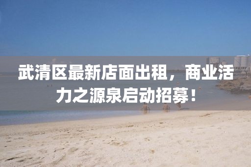 武清區(qū)最新店面出租，商業(yè)活力之源泉啟動招募！