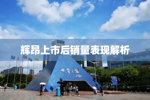 輝昂上市后銷量表現(xiàn)解析