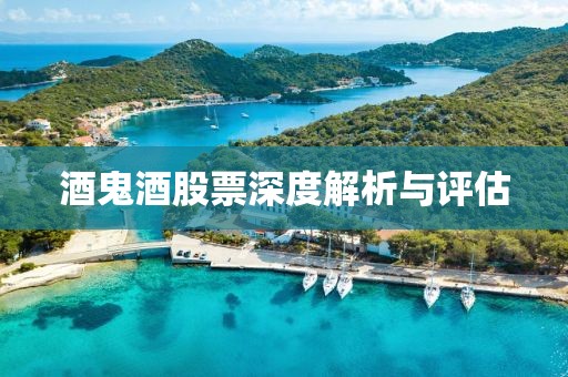 酒鬼酒股票深度解析與評(píng)估