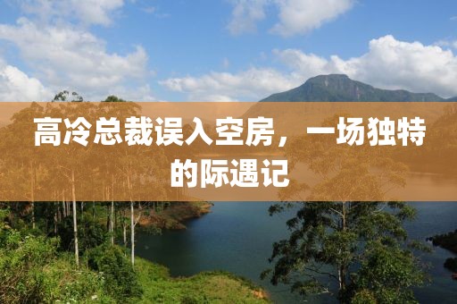 高冷總裁誤入空房，一場獨(dú)特的際遇記