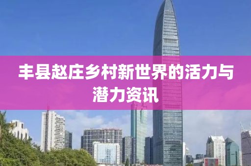 豐縣趙莊鄉(xiāng)村新世界的活力與潛力資訊