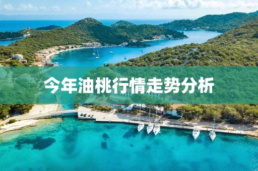 今年油桃行情走勢分析