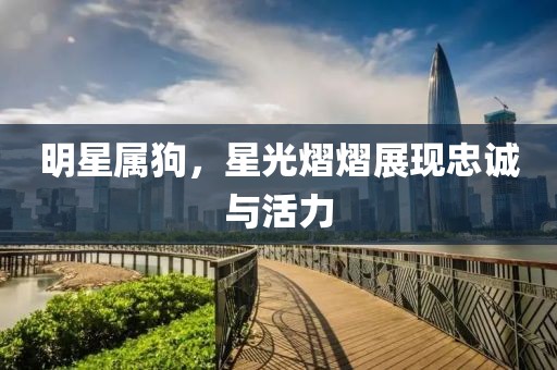 明星屬狗，星光熠熠展現(xiàn)忠誠與活力