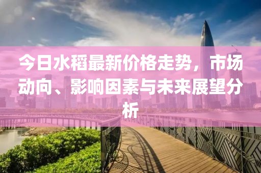 今日水稻最新價(jià)格走勢(shì)，市場(chǎng)動(dòng)向、影響因素與未來(lái)展望分析