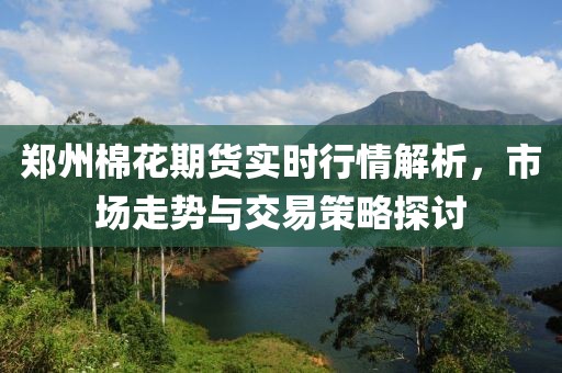 鄭州棉花期貨實(shí)時(shí)行情解析，市場(chǎng)走勢(shì)與交易策略探討