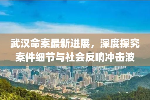 武漢命案最新進展，深度探究案件細節(jié)與社會反響沖擊波