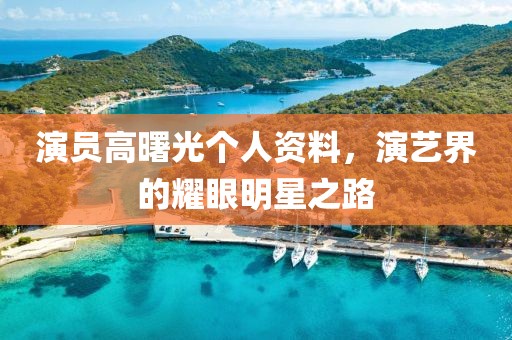 演員高曙光個(gè)人資料，演藝界的耀眼明星之路