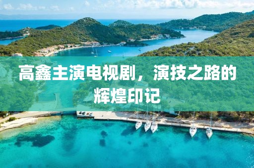 高鑫主演電視劇，演技之路的輝煌印記