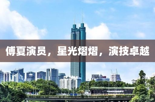傅夏演員，星光熠熠，演技卓越
