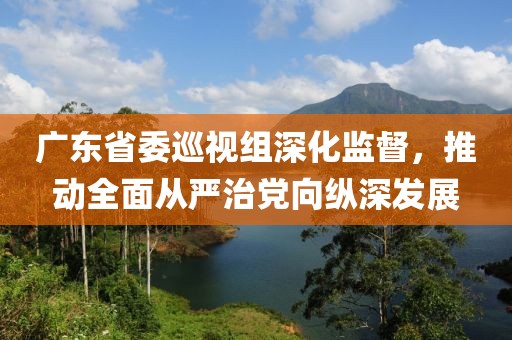 廣東省委巡視組深化監(jiān)督，推動(dòng)全面從嚴(yán)治黨向縱深發(fā)展