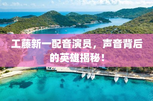 工藤新一配音演員，聲音背后的英雄揭秘！