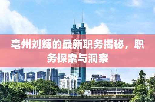 亳州劉輝的最新職務(wù)揭秘，職務(wù)探索與洞察