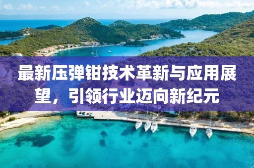最新壓彈鉗技術(shù)革新與應(yīng)用展望，引領(lǐng)行業(yè)邁向新紀(jì)元
