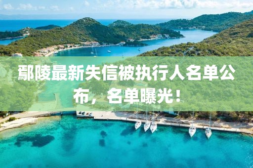 鄢陵最新失信被執(zhí)行人名單公布，名單曝光！