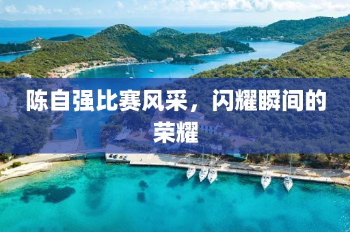 陳自強比賽風采，閃耀瞬間的榮耀