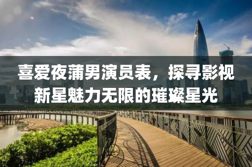 喜愛(ài)夜蒲男演員表，探尋影視新星魅力無(wú)限的璀璨星光
