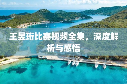 王昱珩比賽視頻全集，深度解析與感悟