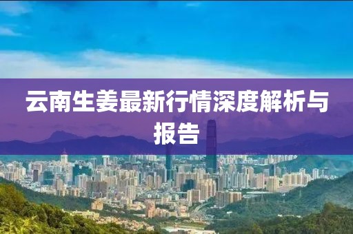 云南生姜最新行情深度解析與報(bào)告