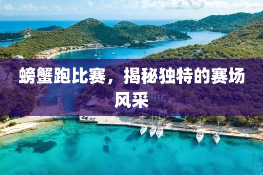 螃蟹跑比賽，揭秘獨特的賽場風采