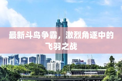 最新斗鳥爭霸，激烈角逐中的飛羽之戰(zhàn)