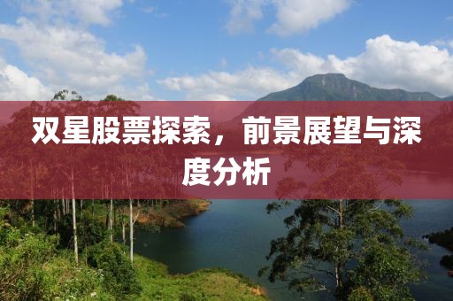 雙星股票探索，前景展望與深度分析