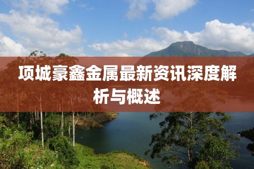 項城豪鑫金屬最新資訊深度解析與概述