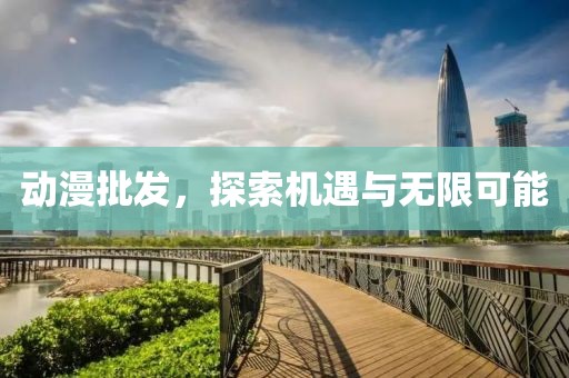 動(dòng)漫批發(fā)，探索機(jī)遇與無限可能