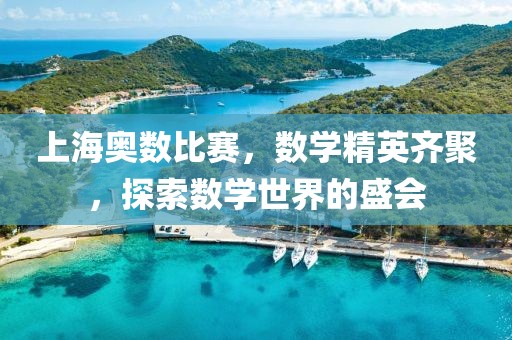 上海奧數(shù)比賽，數(shù)學(xué)精英齊聚，探索數(shù)學(xué)世界的盛會(huì)