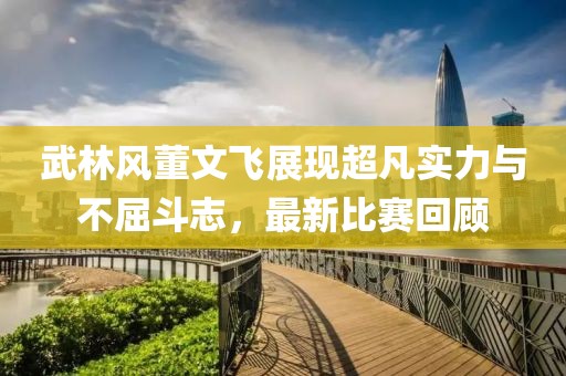 武林風(fēng)董文飛展現(xiàn)超凡實(shí)力與不屈斗志，最新比賽回顧
