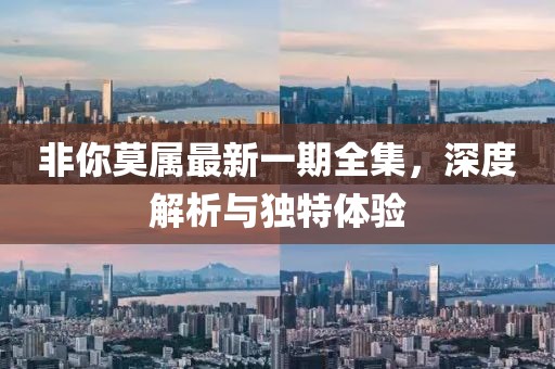非你莫屬最新一期全集，深度解析與獨(dú)特體驗(yàn)