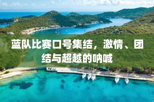 藍(lán)隊(duì)比賽口號集結(jié)，激情、團(tuán)結(jié)與超越的吶喊