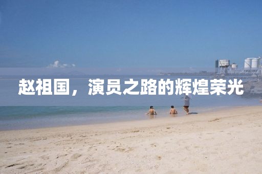 趙祖國(guó)，演員之路的輝煌榮光